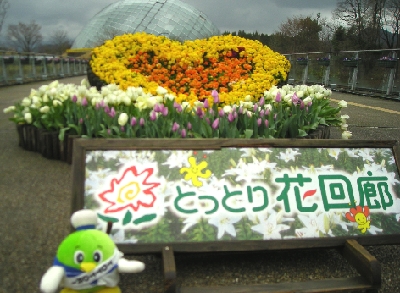 とっとり花回廊