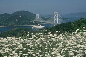 白滝フラワーライン