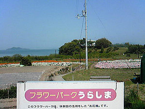 フラワーパーク浦島