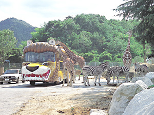 群馬サファリパーク