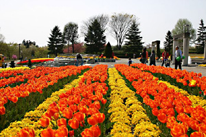 ぐんまフラワーパーク