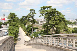 草加松原