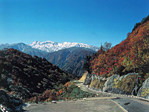 白山スーパー林道