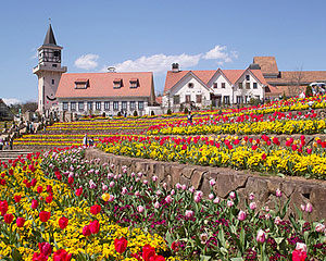 山梨県フラワーセンター